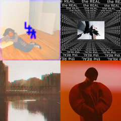 Fresh Finds Experimental