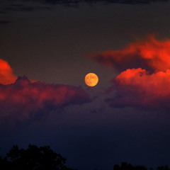 Underground Trap Beat "LunarEclipse”  | Free Cinematic Type Beat for Hard Freestyles [Free for Profit]