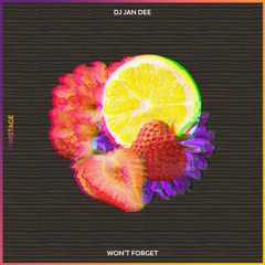 DJ Jan Dee - Won't Forget