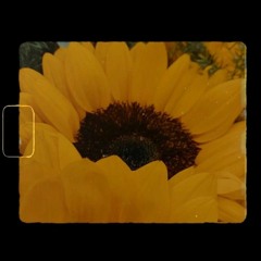EP "mah17" - fuyu