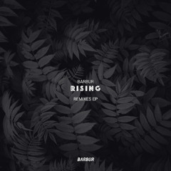 PREMIERE: Barbur - Rising (Ornery Impact Remix) [Barbur Music]