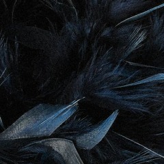 "Black Feathers" - Mixtape #005