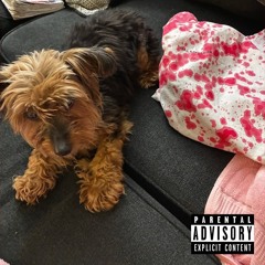 all day (prod. fortunate)