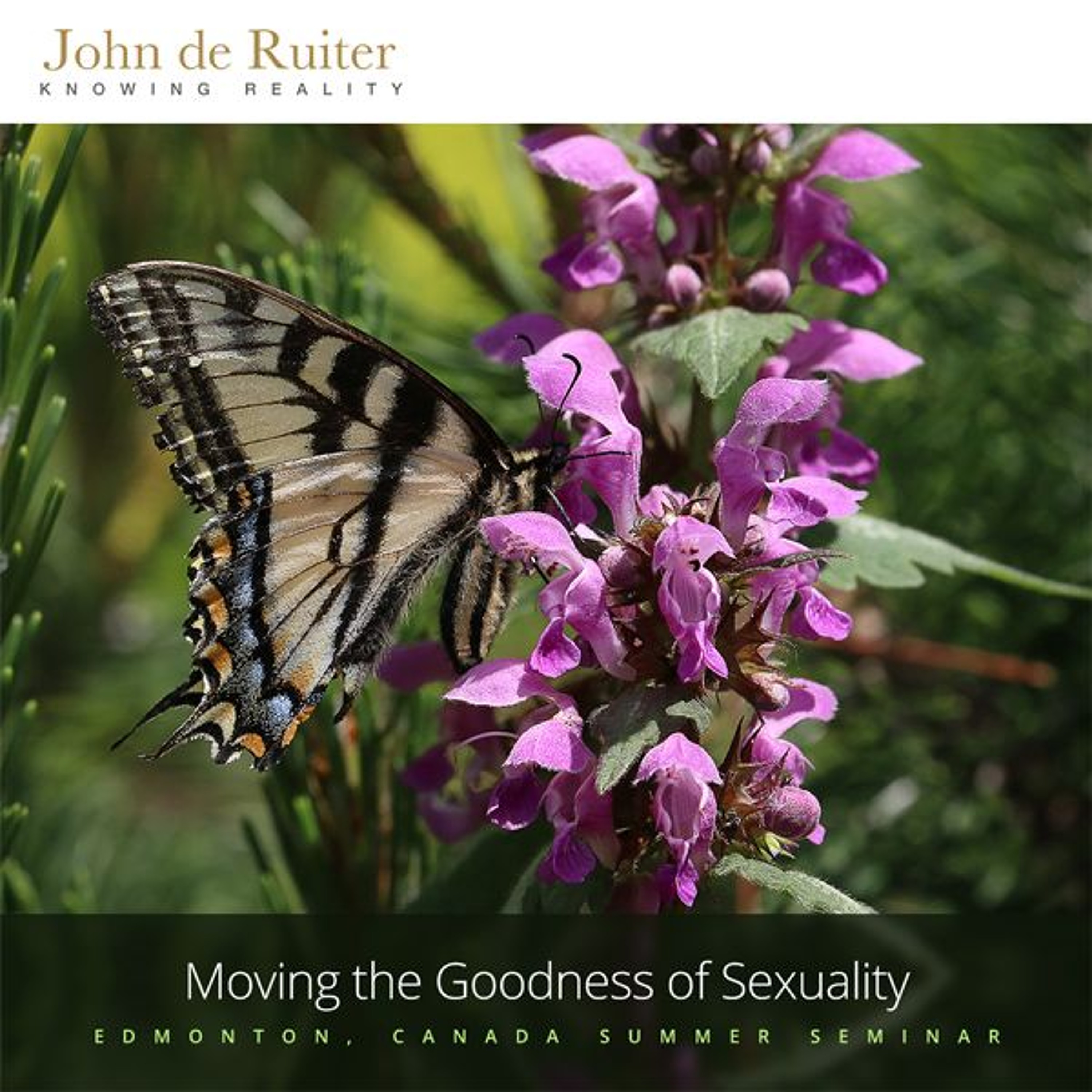 279 - Moving the Goodness of Sexuality - 2 of 3 episode artwork