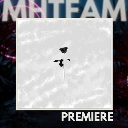 PREMIERE: Daniel Blade - Acid Voodoo (Original Mix) [Black Rose]