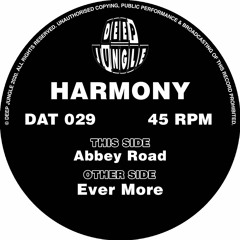 Harmony - Ever More [DAT029] clip