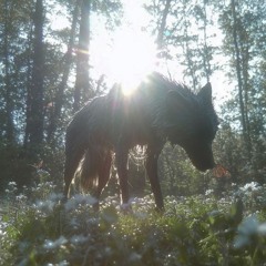 UntitledNov122025737PM.m4a