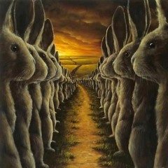 The Rabbits Of Memory