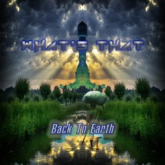 What's That - Back To Earth