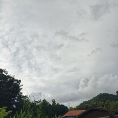 หอมเชียว(cover)- iluvujayjay