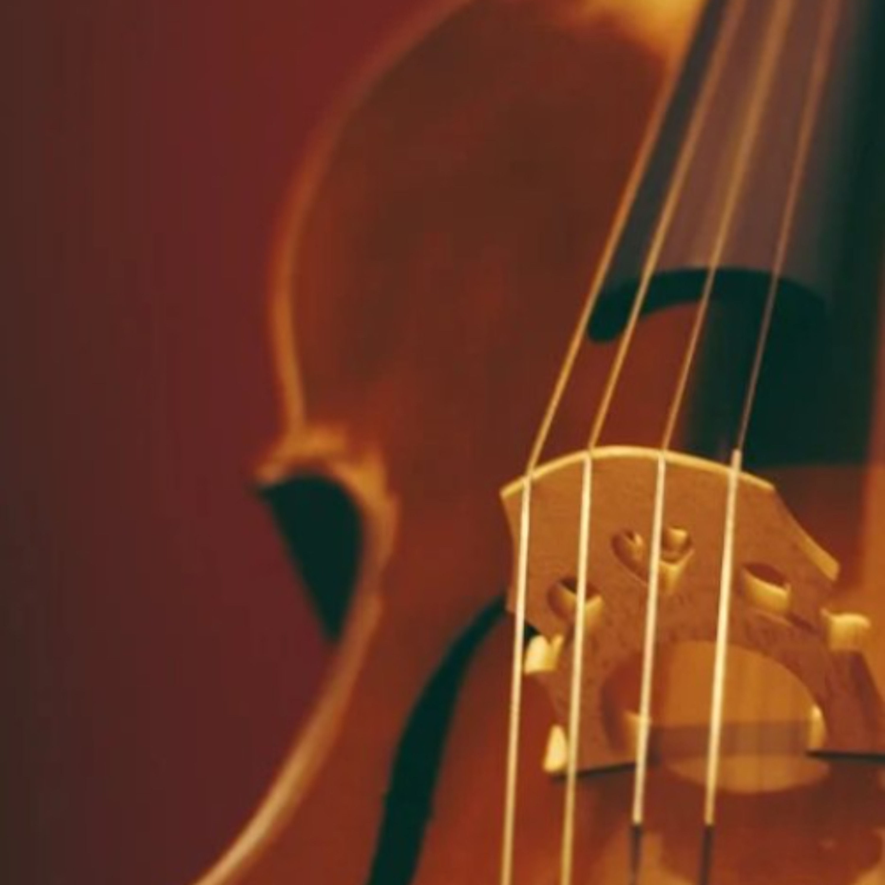 The KCLR Daily: Tributes to the late Geraldine O'Grady (13th Nov 2025) The KCLR Daily: Tributes to the late Geraldine O'Grady (13th Nov 2025)