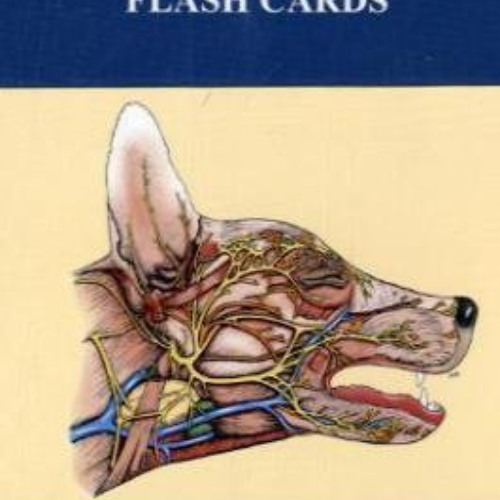 [Read] PDF 💓 Saunders Veterinary Anatomy Flash Cards by  Baljit Singh BVSc & AH  MVS
