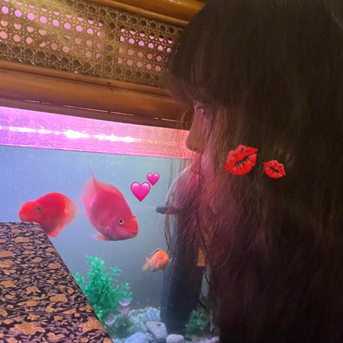 진부한 사랑노래