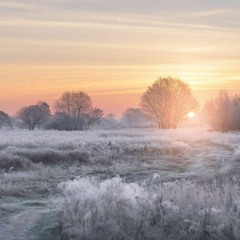 Winter °°Free DL°°
