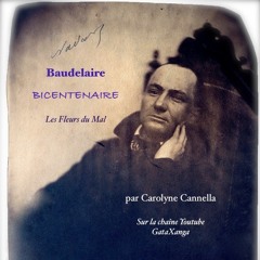 BAUDELAIRE - Spleen LXXVIII - Les fleurs du mal - Voix Carolyne Cannella