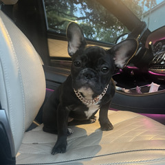 I Just Wanna Vibe Feat (Mas Black )