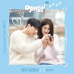 최낙타 (Choi Nakta) – 꽃이 피었네 (Blooming) [어서와 - Meow, the Secret Boy OST Part 13]