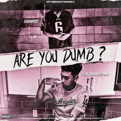 Are you dumb? ( Feat. Bookie2Paid )