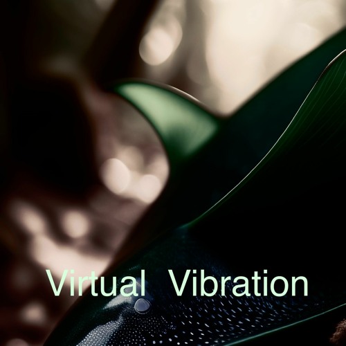 Virtual Vibration