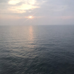 Shadmehr Aghili - Ghazi Instrumental