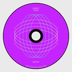 Pump It Good - Zed Kay (unfinished projects).mp3