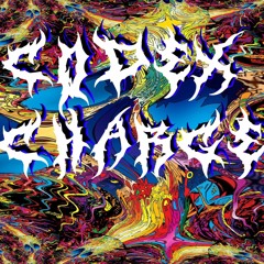 CODEX - CHARGE