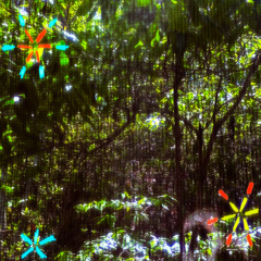GiveAFrank (Prod. Nono g)