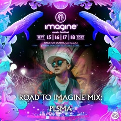 Road To Imagine Music Festival : Ft - PLSMA
