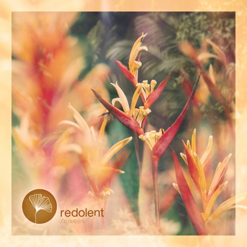 Tanit - Auwa Uwa (G.Zamora Remix)