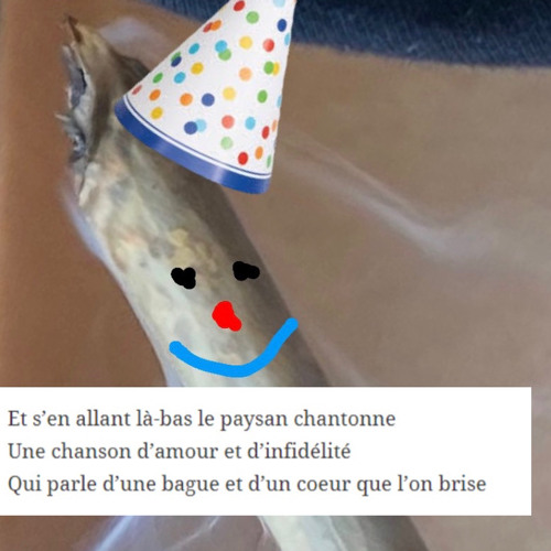 Du bruit sur le toit *^