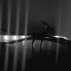 𝔩𝔦𝔣𝔢 𝔩𝔦𝔣𝔢