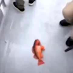 Cornandbeans - I Love Cock 2