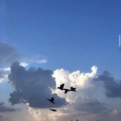 وَسَارِعُوا إِلَىٰ مَغْفِرَةٍ مِّن رَّبِّكُمْ |محمود إسماعيل| - عشائية ١١ ذو الحجة ١٤٤٥ ه‍