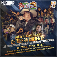 Super Banda Los Pajaritos De Tacupa Mix DJ Victor