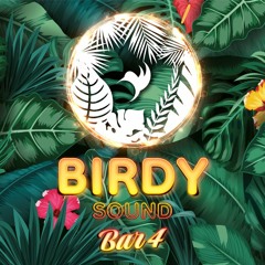 BIRDY Sound Bar IV