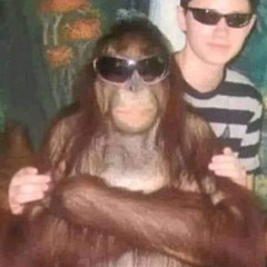 140/ Dubstep/ Bass/ Garage