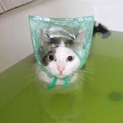 Worth it - SAJ FINAL