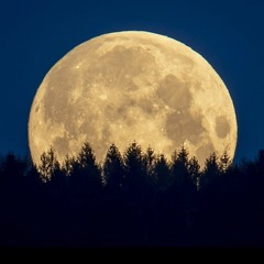 Talking To The Moon