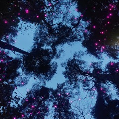 Sjukhusbilkrasch - ljudbild SÖ. 2024