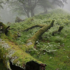 never anything - prod. kuhwahme - sped up