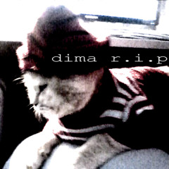 dima r.i.p
