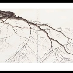 WSDM369 - Waves ft. Rand