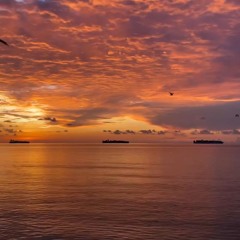 From discovery to rediscovery VOL. 26