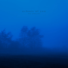 echoes of you (slowed)