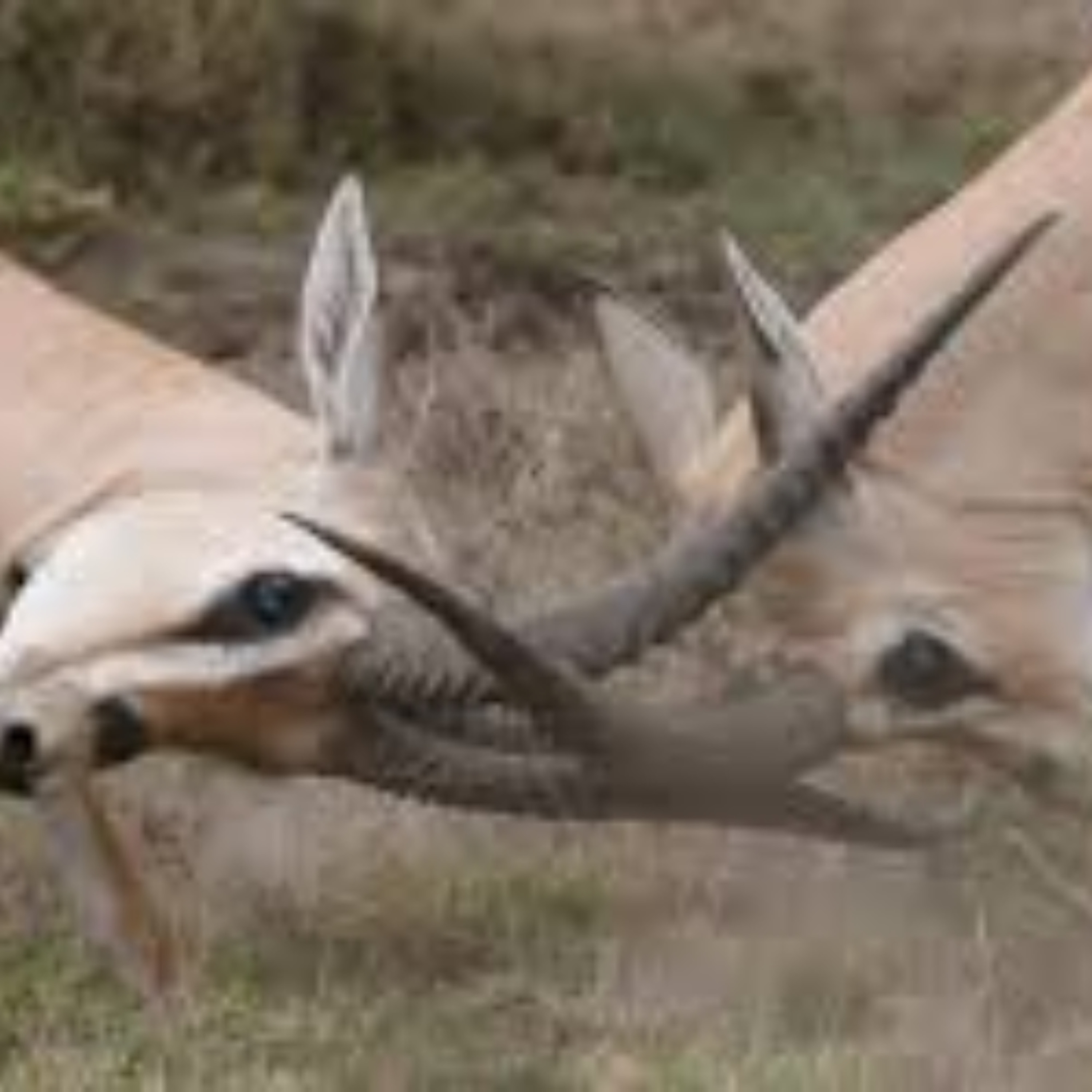 James 4.1-12 thumbnail