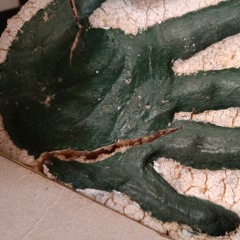 the ballad of Kali Fuego