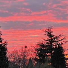 The Weakening Eye Of Day (4/21)