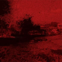 MY GYM PARTNERS A MONKEY ft.KANYE WEST