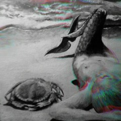Aftermath - Spiaggia Selvaggia Vol 2