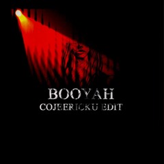 Showtek - Booyah cojeericku edit